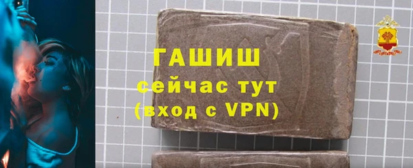 МДПВ Ельня