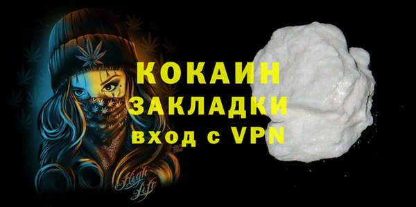 МДПВ Ельня