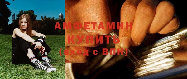 МДПВ Ельня