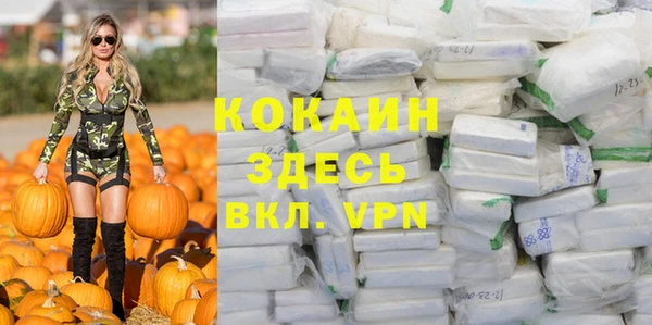 МДПВ Ельня