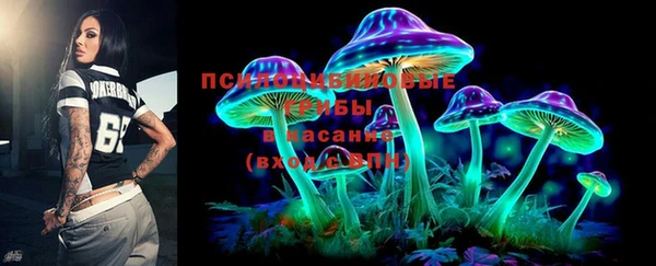 трава Елизово
