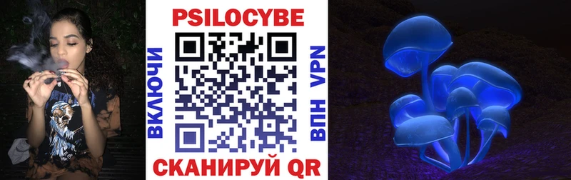 Купить где  Любим  Галлюциногенные грибы GOLDEN TEACHER 