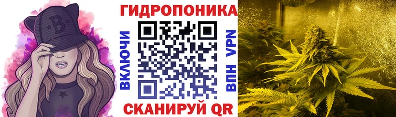 Шишки марихуана план  Купить  Любим 